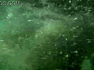 i watched the hotwife chat with her lover and cuckold underwater