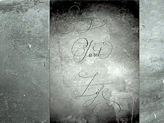 My Secret Life As The World's Greatest Erotic Story