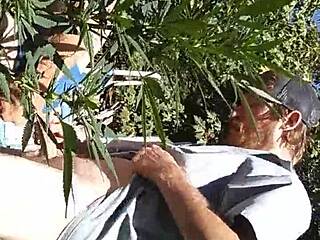 hot gay suck and fuck session in 420 patch!