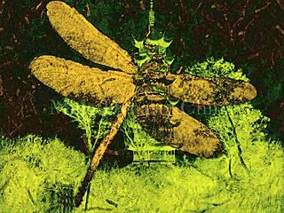 Dark Lantern Entertainment Presents The Dragonfly Freddie