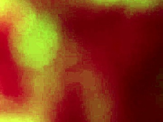 Unfaithful Latina Ass Pays Rent with Mexican Amateur Action