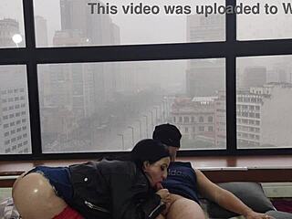 Kitty's passionate window display