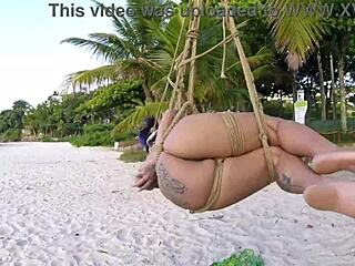 Lordshibarifloripa Rips Clothes Off Big Tits African Babe in Public Shibari