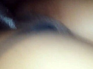 Can Blacchammer handle this wet ebony blowjob on monster cock?
