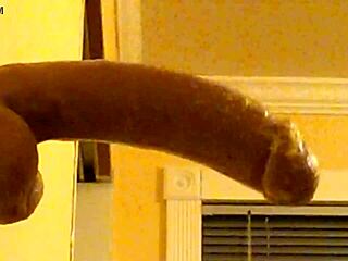 Gay guy in hood deepthroats dildo casually