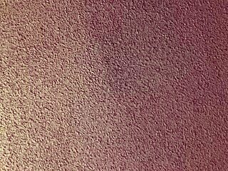 Sexy Slut Obsessed with Sucking Huge Black Cock Daily