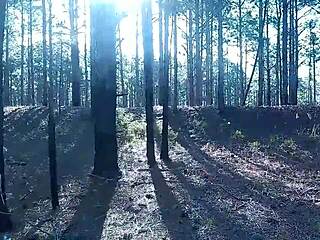 halloween party with pernocas and pirocas fun