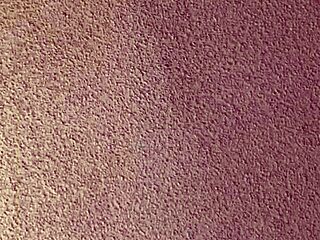 Sexy Slut Obsessed with Sucking Huge Black Cock Daily