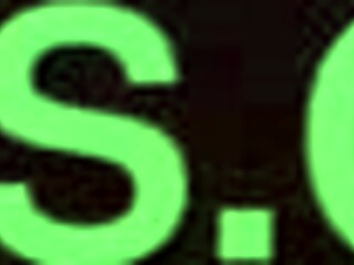 Well-Endowed Black Guy Assfucks Cute Latina Brunette Amateur on All Fours