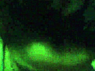 amateur prostitute gives emotional blowjob to white girl