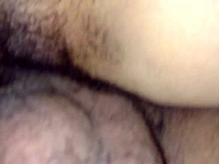 amateur wife boldly acts as a perra in intense sex with big cock