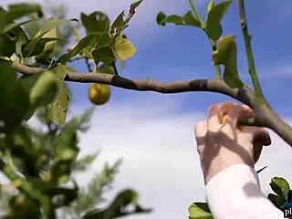 สาวยูเครน Hayli Sanders ถอดเปลือยสำหรับถ่าย Playboy