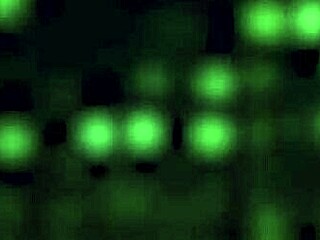 Latina Amigas Skip Work for Office Sex