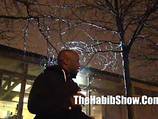 Romemajor and montana star enjoying east coast in the minivan