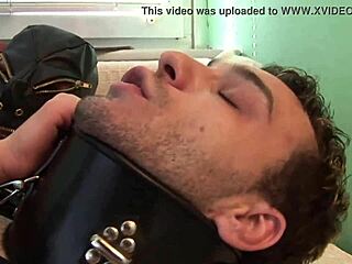 the boy the gay and his cock vol 11