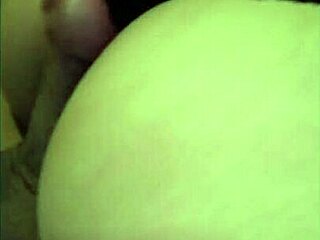 i give my kitten halsey the best time for being a flirt