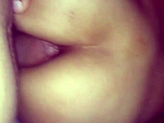 Rico culo gets assfucked hard.