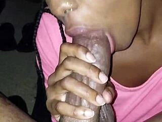 catalina mixer responds to comments in homemade setting