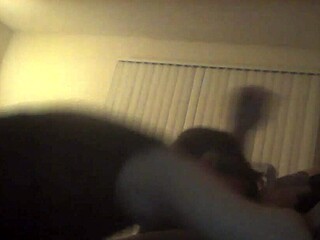 Discover The Hottest Sexual Adventures In This Collection