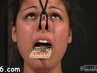 Wanna see this beauty's pussy get pounded hard?