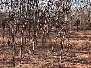 video completo por red o en plataformas de pago