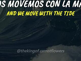 Tatsuro Yamashita Theme