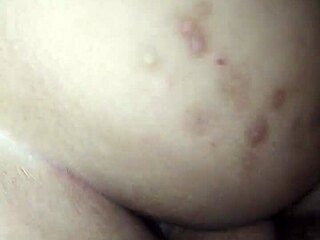 Hey, check out my cousin the gordibuena in tanguita.