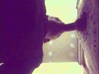 i drain the stallion's big load in glory hole