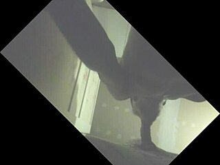 i drain the stallion's big load in glory hole