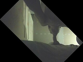 i drain the stallion's big load in glory hole