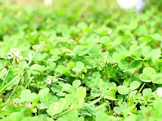 asian ass full version video