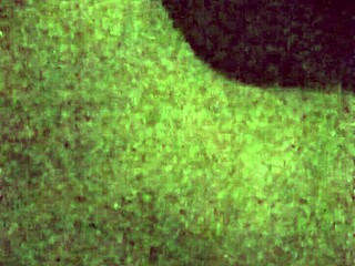 I, as a cumslut, love gettin' facials all over my face.