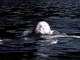 Supernatural Blonde Girl in Bikini Swimming