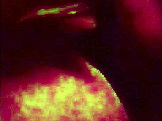 Shelby Love: Number One Meat Eater All Time