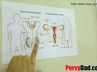 Padrasto ensina educação sexual a Leia Rae com boquete e foda na boceta jovem 18+