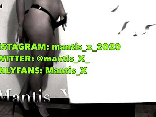 schiavo maturo e porco lecca i piedi della padrona