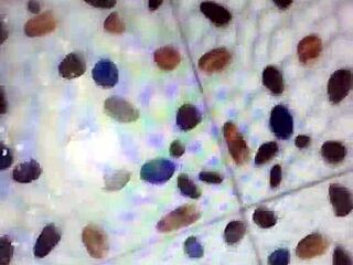 Gay couple explores anal sex and mutual masturbation.