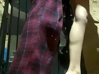 latina tattoo girl sucks my monster cock outdoor