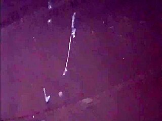 Curious about naked birthday guests showing up for my post-celebration fun