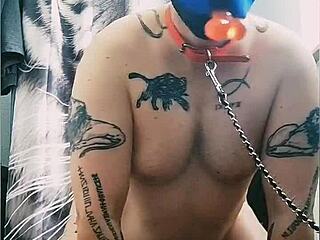 Gaywolf and Mastino Grande in a casual chat