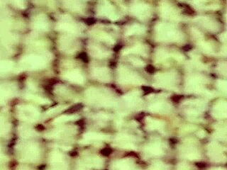 doa5 christie teases nude on beach gravure set