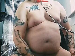 Gaywolf and Mastino Grande in a casual chat