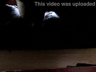 Fat African Nigerian Models In Intense Orgy Sex