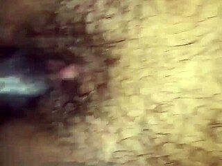 Big dick fucks wet pussy