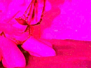 Lazycatdoll Fingers In Jeans Boldly