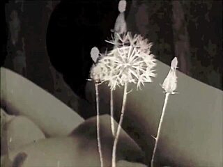 Retro Lesbian Secret Life