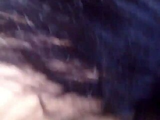 mi loba roams freely