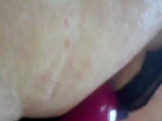 A playful session with dildos and lingerie toys unfolds