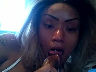 Intriguing amateur POV scene with blowjob and swallow