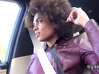 Erotic cutie blows in POV